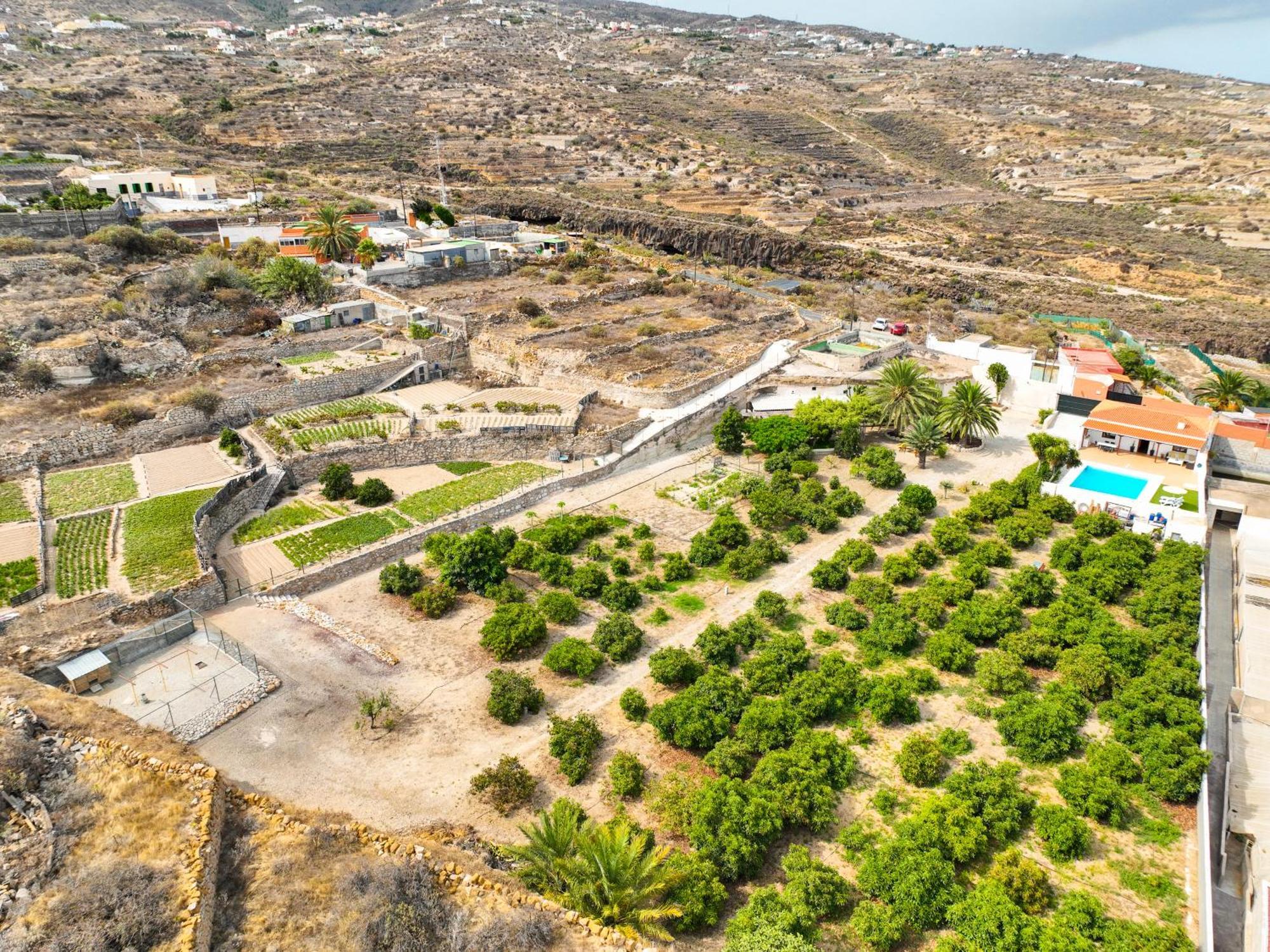 Private House With Pool & Garden Villa Güimar Buitenkant foto